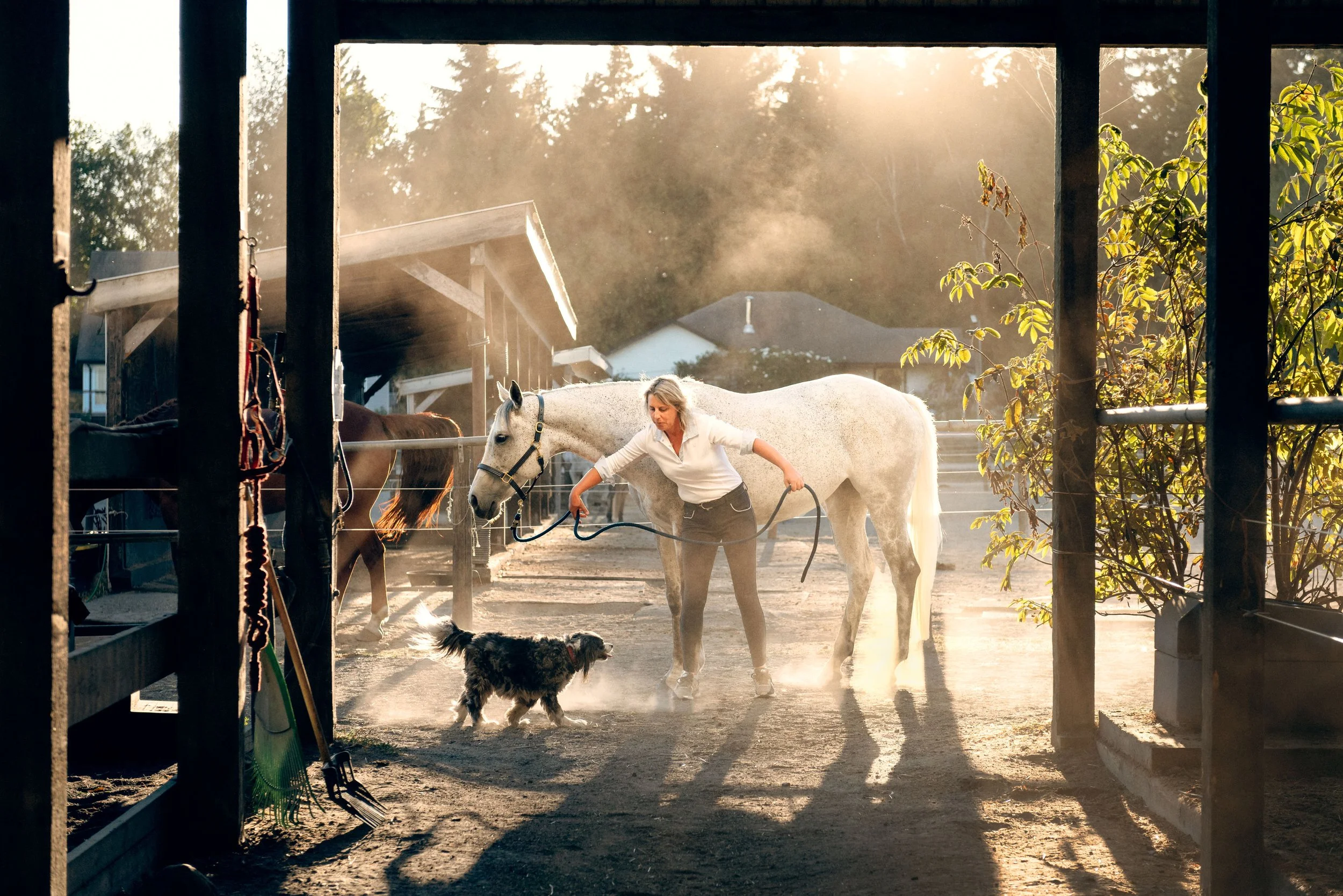 DSC_8260-Edit (2).jpg