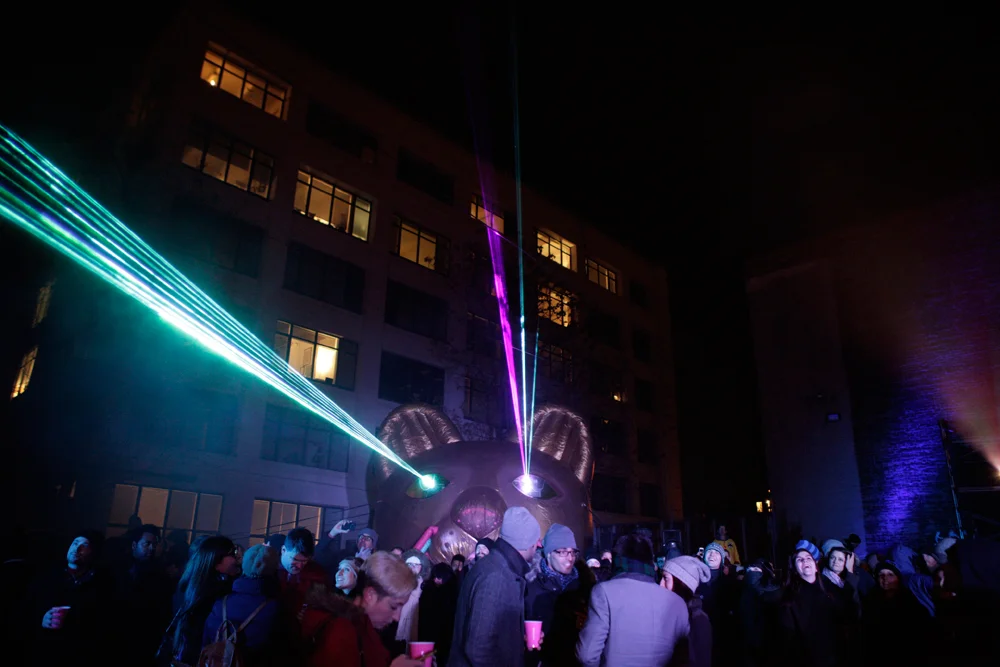 2014_11_20_ADC_Laser_Cat_238_edit.jpg