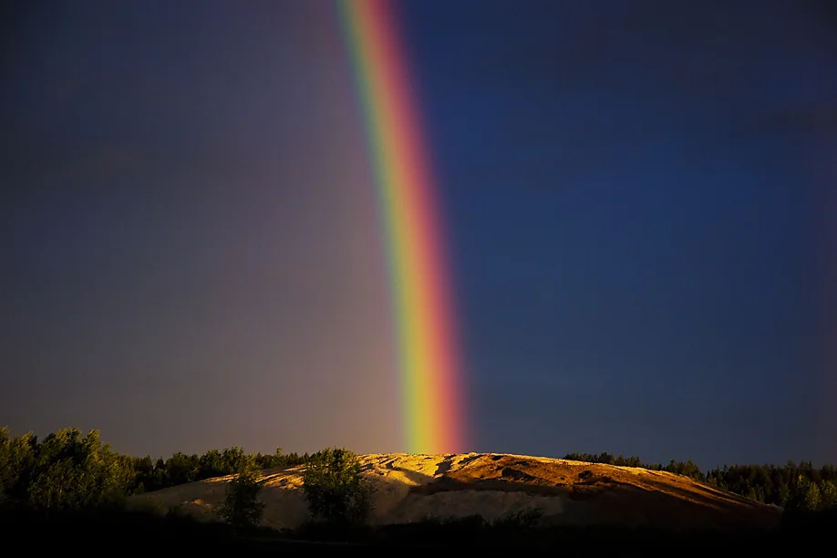 True Colors:  On Embracing the Full “Palette” of Life and Self