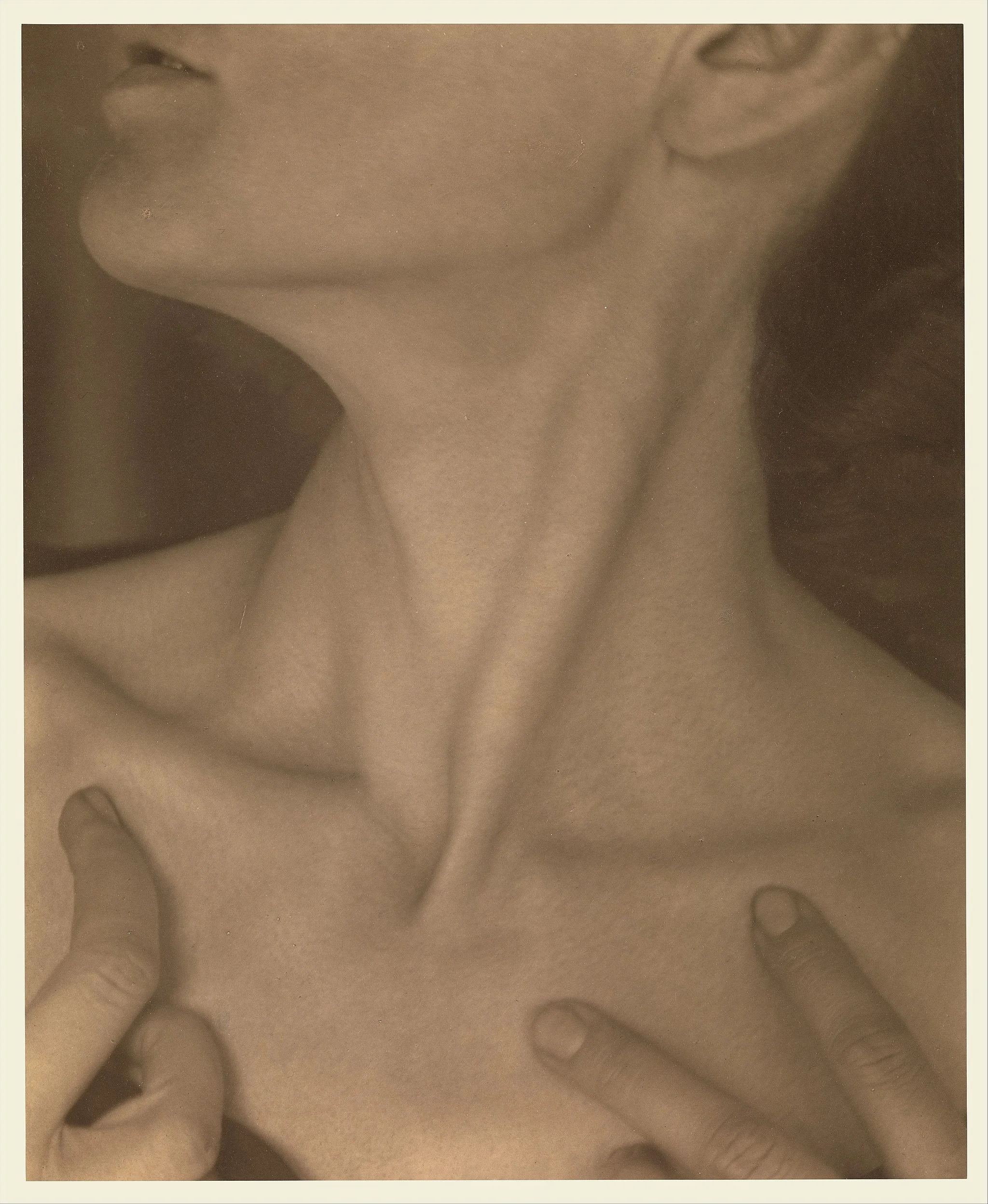 Georgia O'Keeffe — Neck by Alfred Stieglitz (1921)