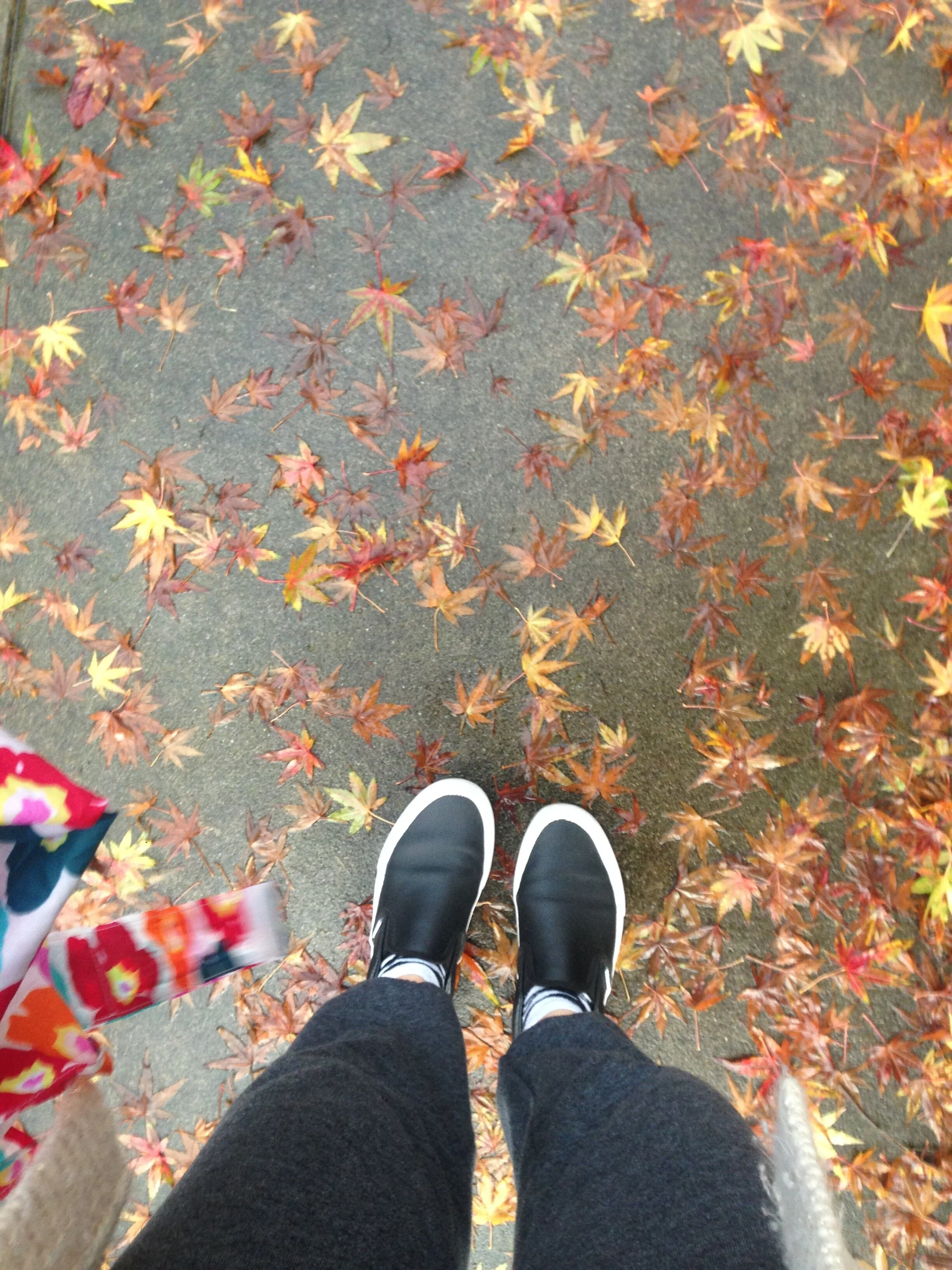 Part of the Human Family: Thanksgiving Day Reflection