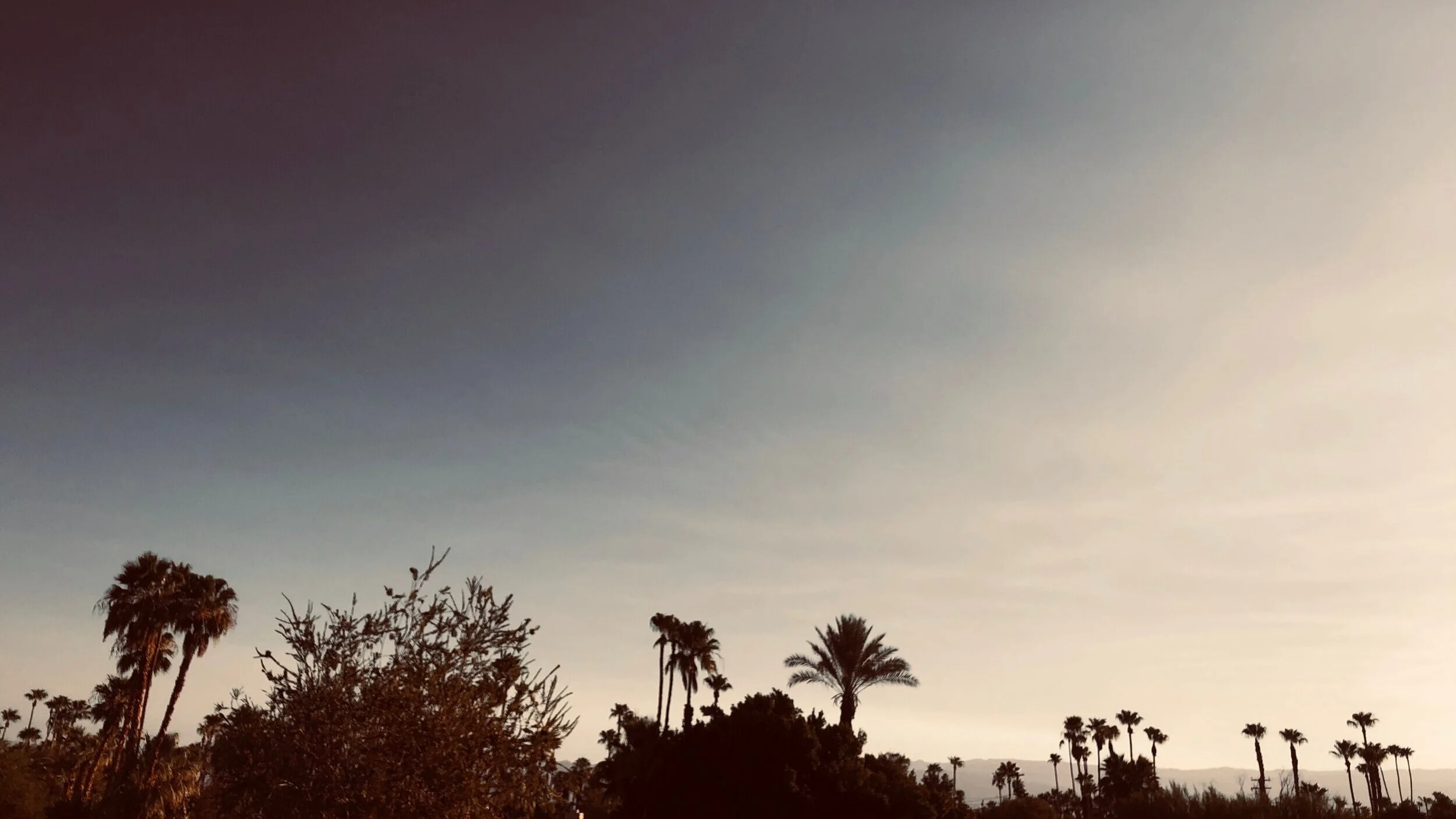 Summer, Palm Springs During Pandemic