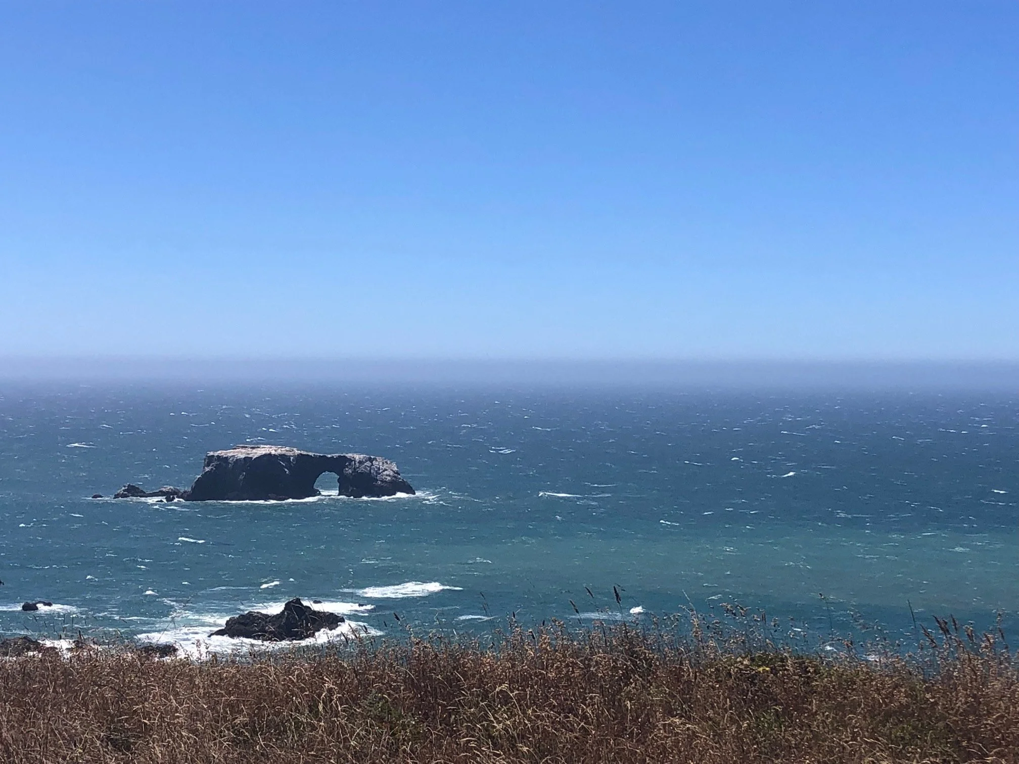 In a California Summer