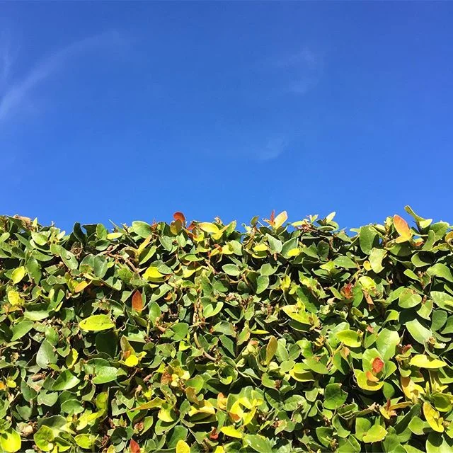 Sunny Sunday 👌🏼