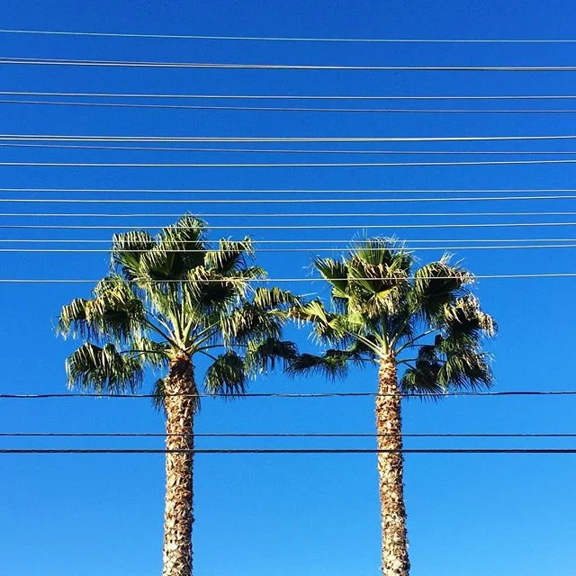 First time this month I've gotten out of the house for anything non-medical-related. Stoked! 👍🏼🌴🌞🌴👍🏼