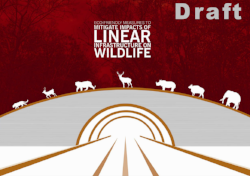 Eco-friendly_Measures_to_Mitigate_Impacts_of_Linear_Infrastructure_2016.png