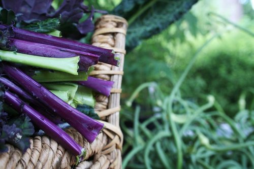 Dr. Della's Fresh Health Tips - 15 Ways to Decrease Arthritis Pain with your Diet