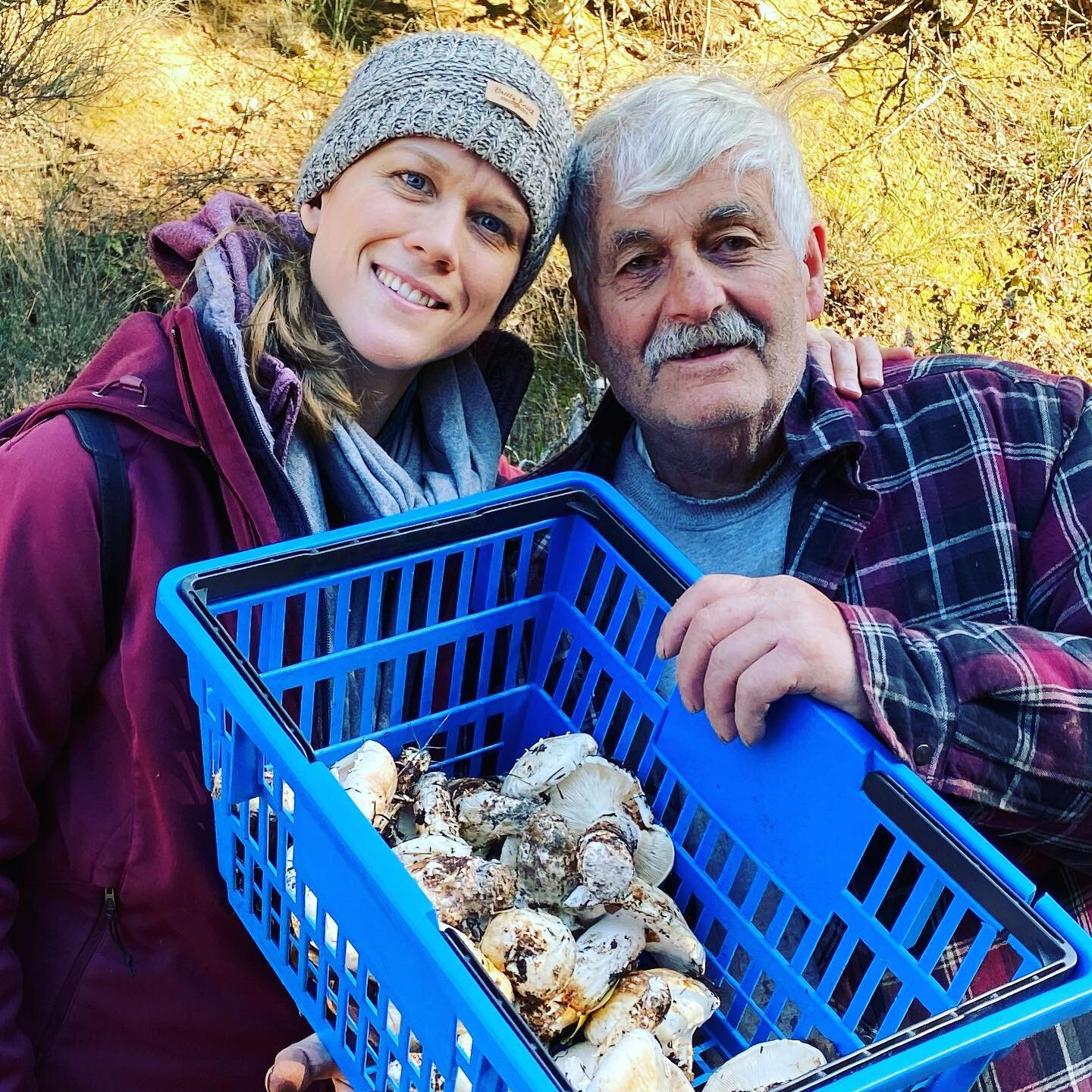 Come learn about how mushrooms and other nutrients can help your immune system this Saturday Nov 9th at Pearl Healthcare&rsquo;s open house! Snacks, samples, prizes, and meet the team from 1-3pm!