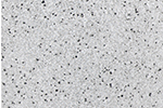 Granite Speckle