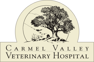 Carmel Valley