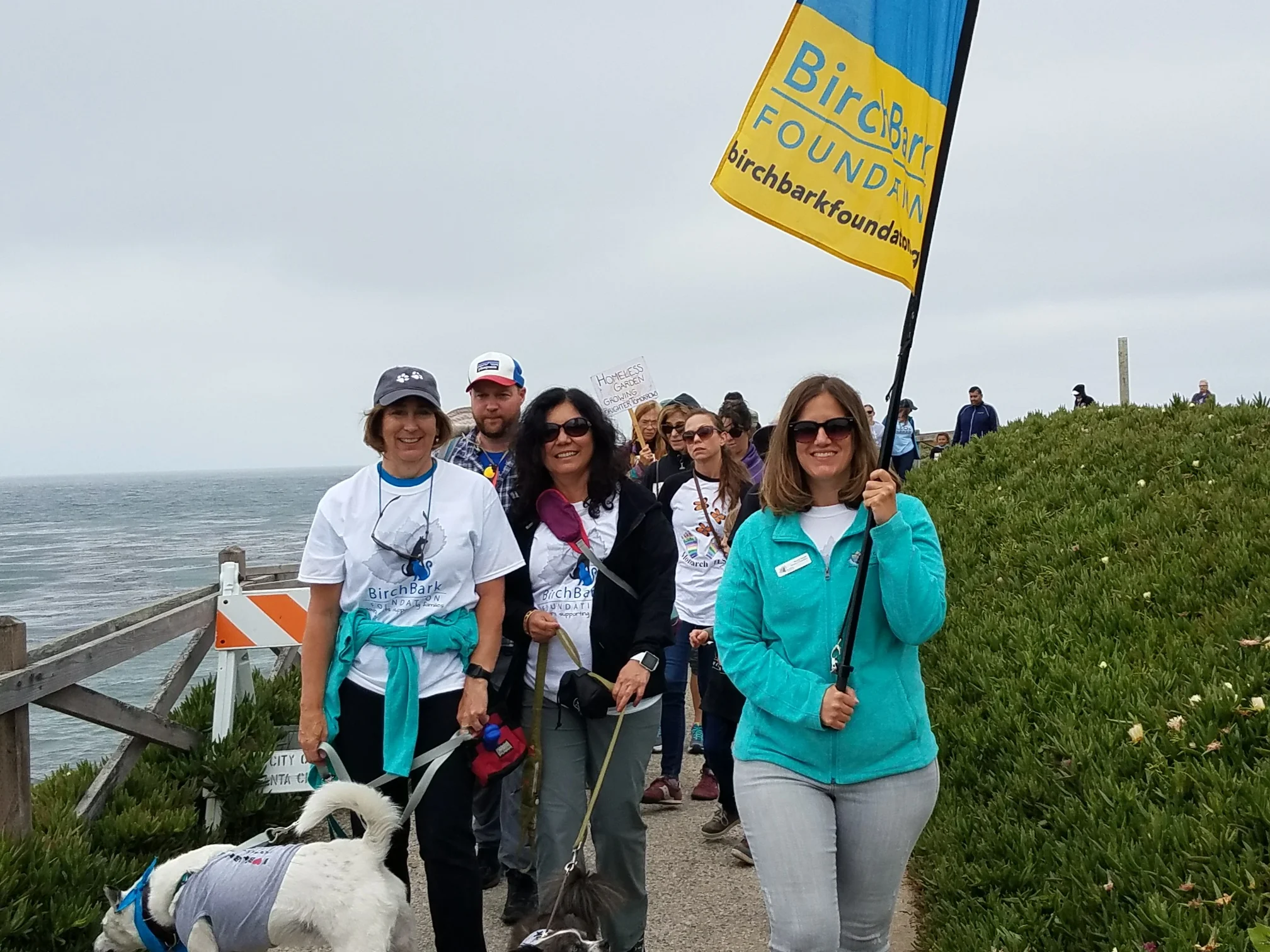 Resized_20180512_092603.jpeg
