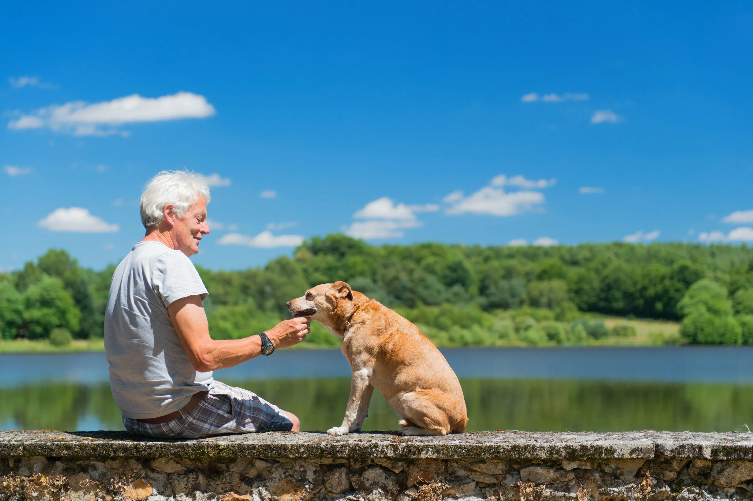 man and dog.jpeg