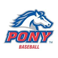 pony baseball.jpeg
