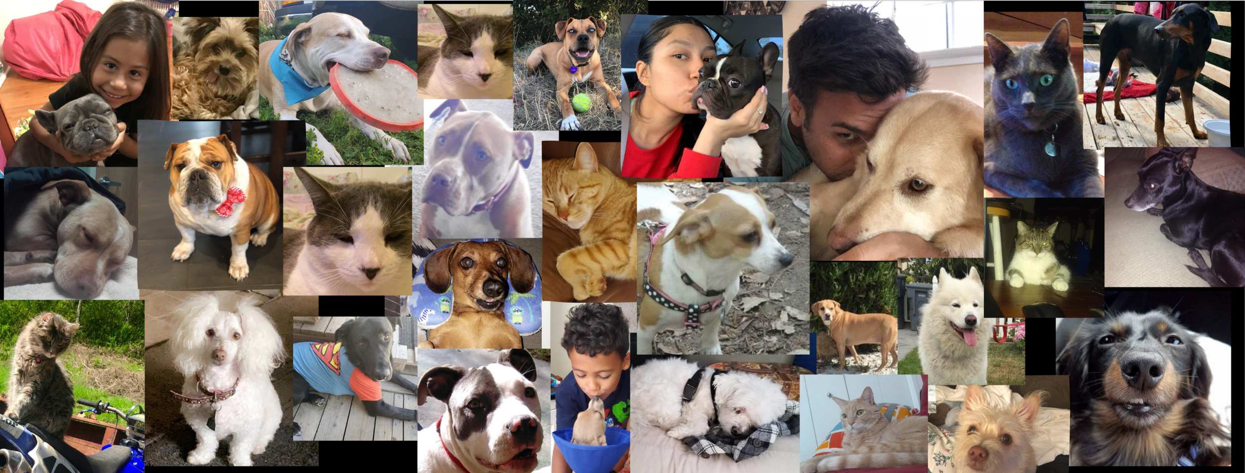 Covid Success Collage.png