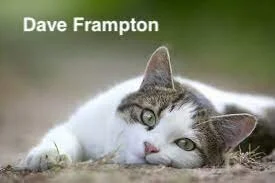 Dave Frampton.jpeg