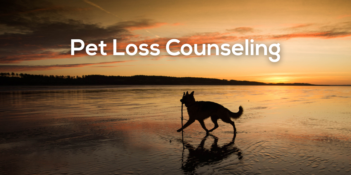 Pet Loss and Grief Counseling