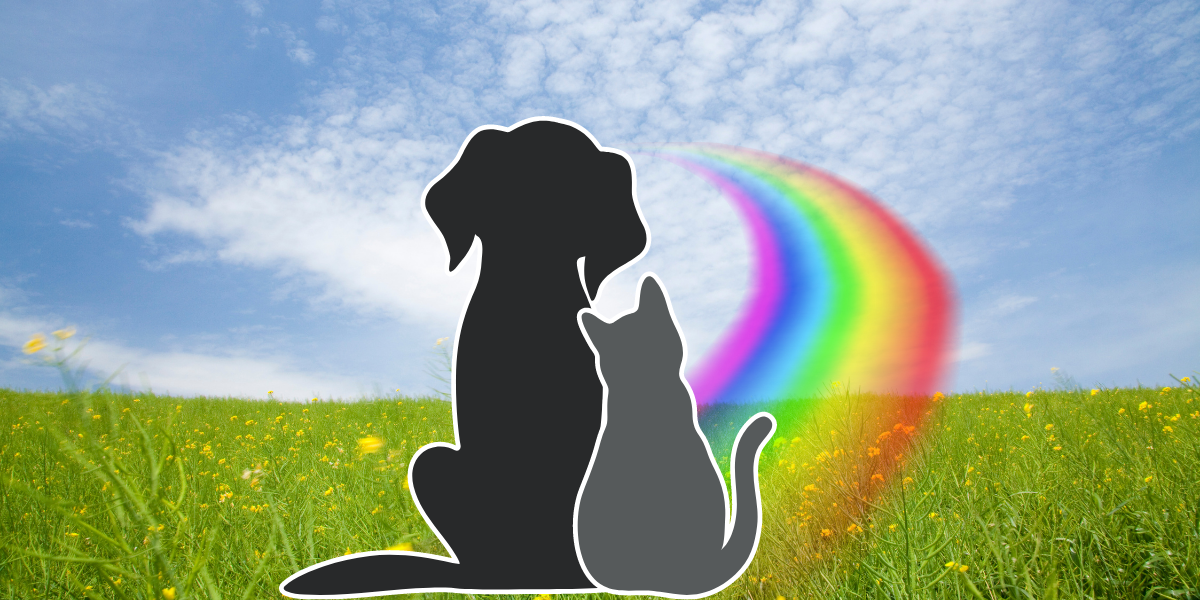 Pet Loss and Grief Counseling