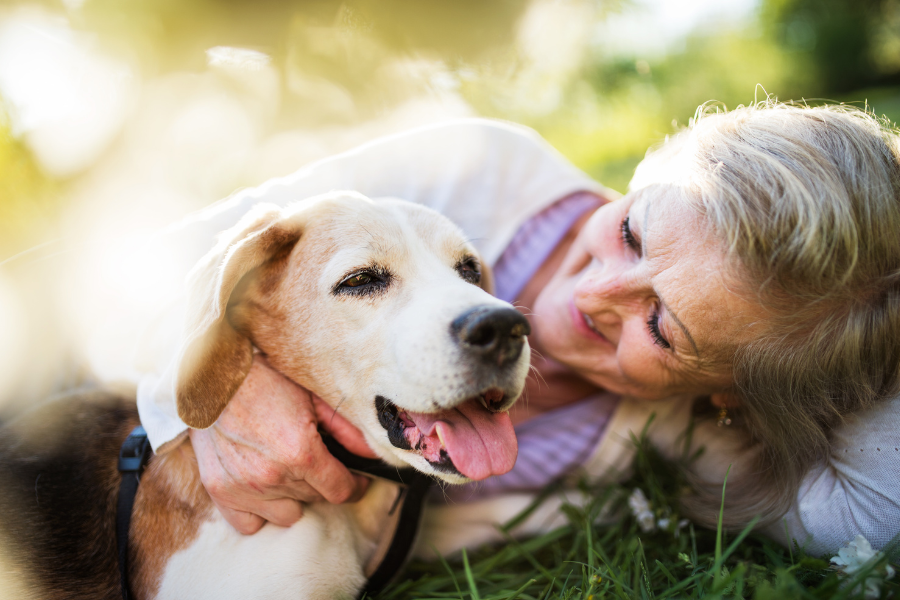 Financial and Estate Planning for Your Pets