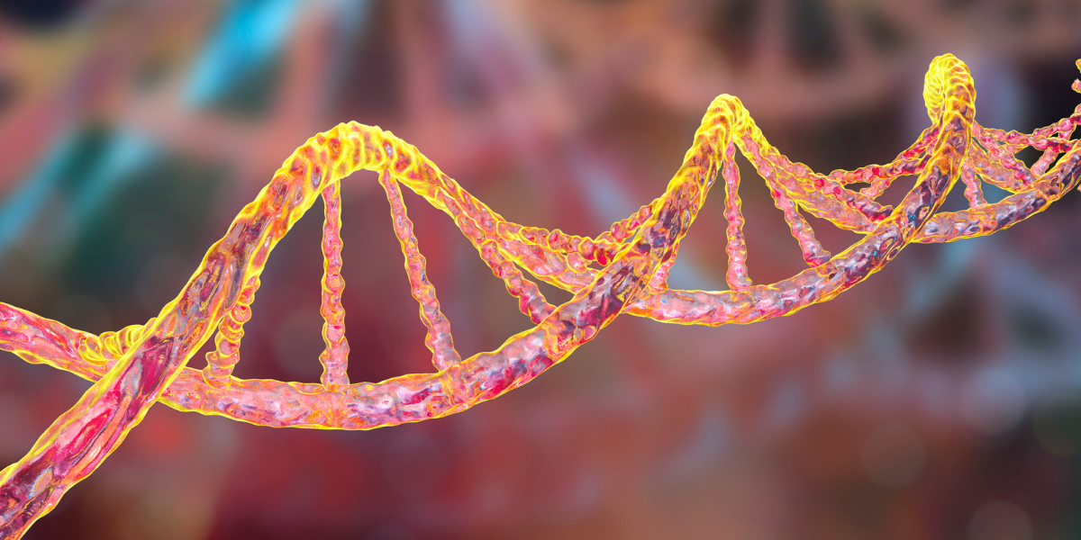 Unlocking the Genetics of Cats and Dogs: DNA Testing for Health and Coat Color