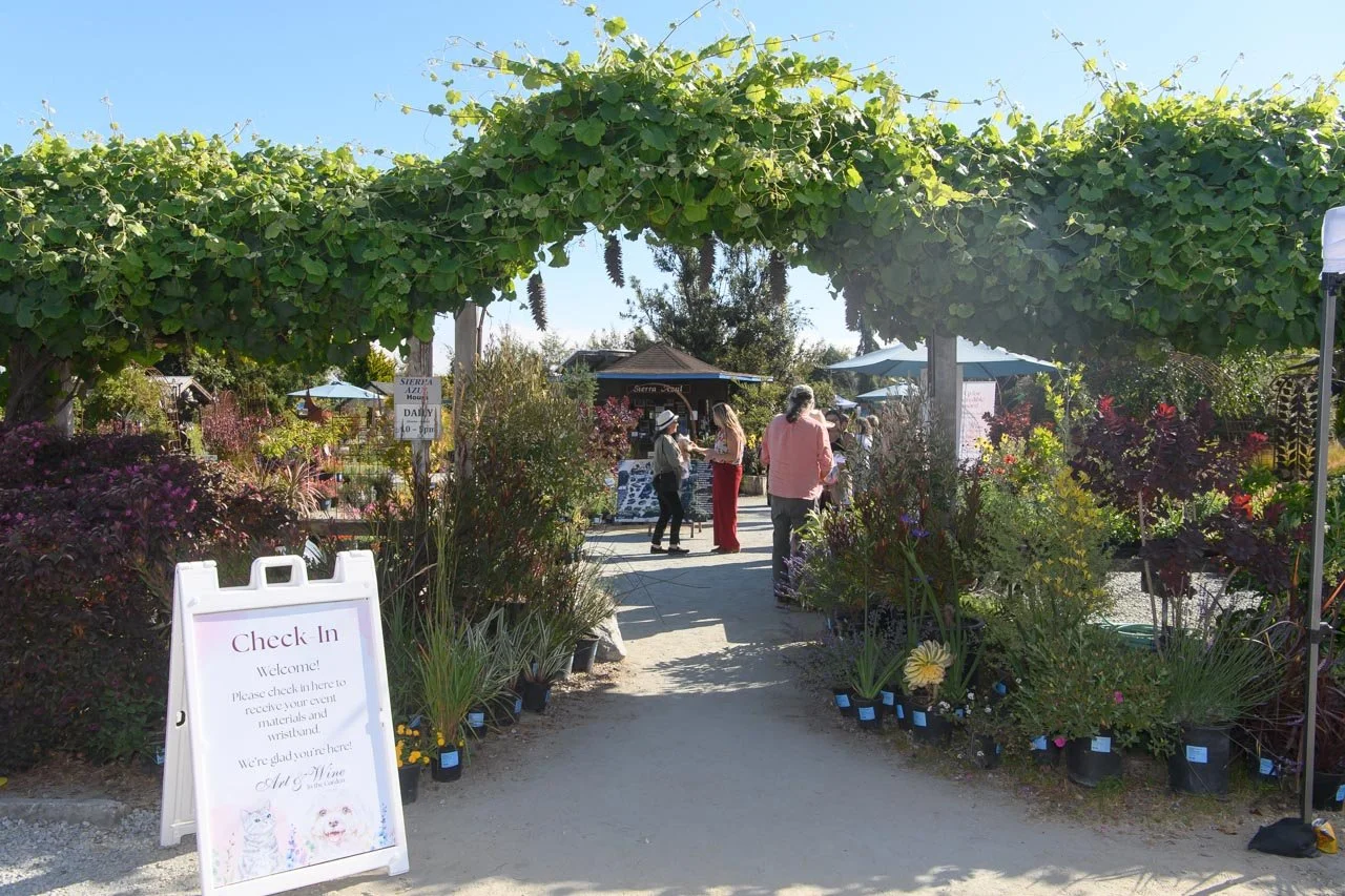 Art & Wine in the Garden with Birchbark-001.jpg