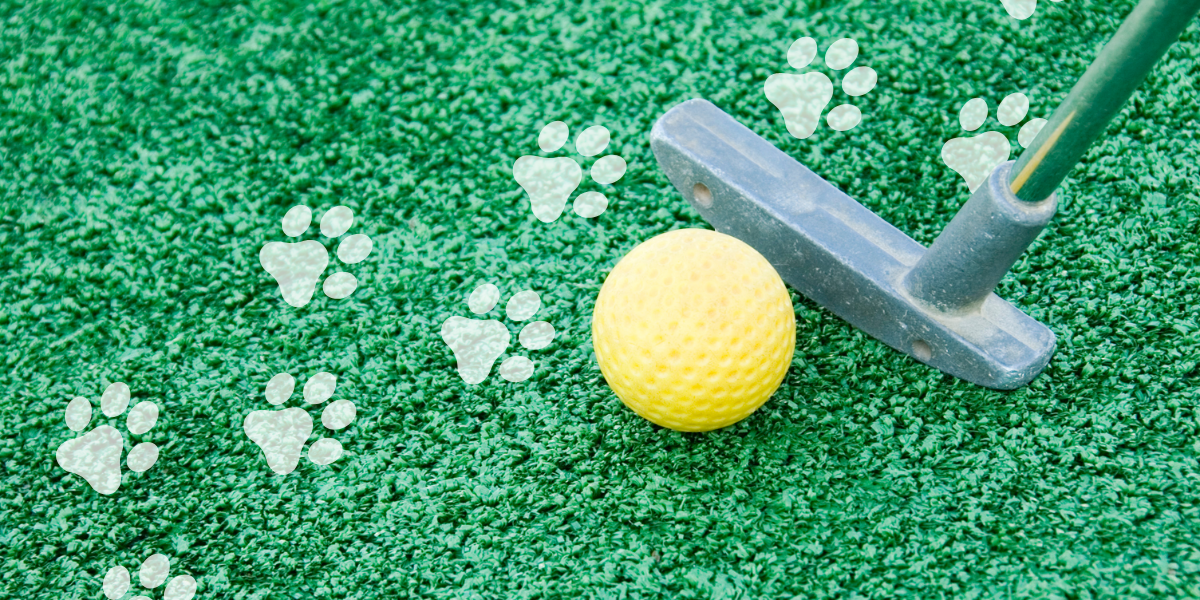 Putts for Paws Invitational