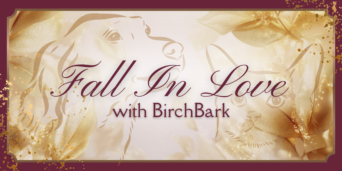 Fall in Love with BirchBark