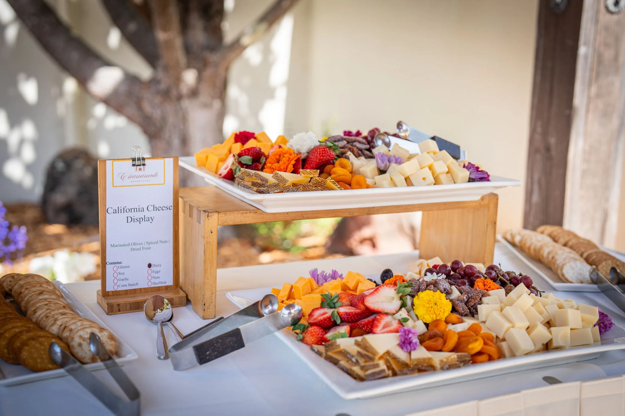 BrunchBark2026.PortraitsByTashi-009.jpg