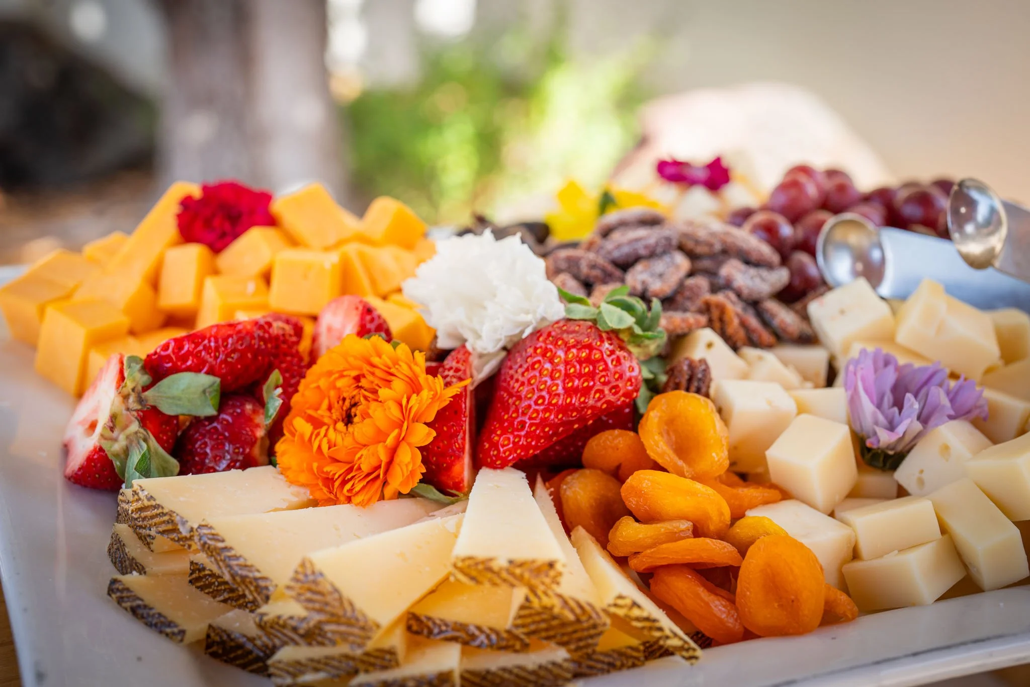 BrunchBark2026.PortraitsByTashi-010.jpg