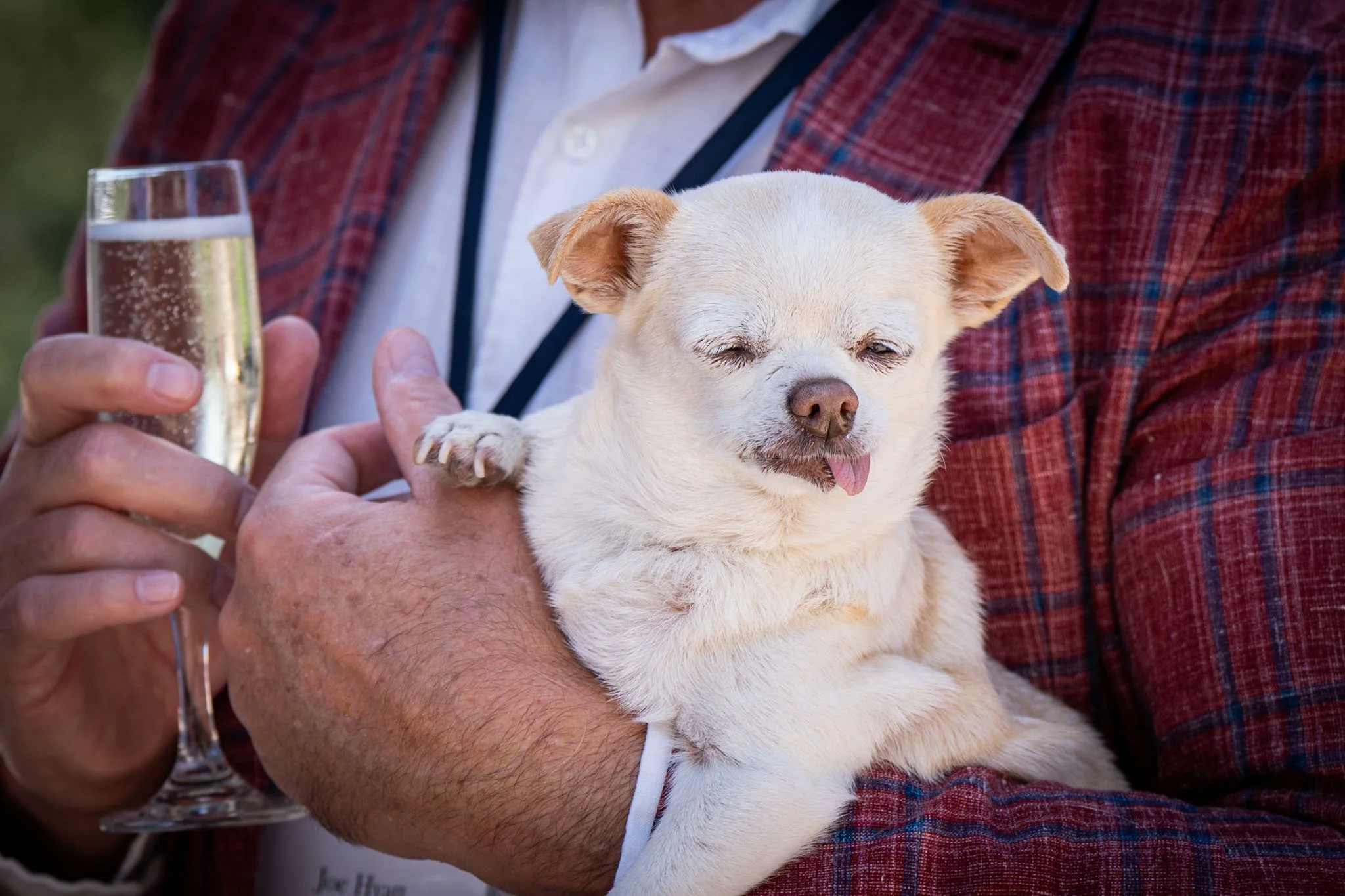 BrunchBark2026.PortraitsByTashi-018.jpg