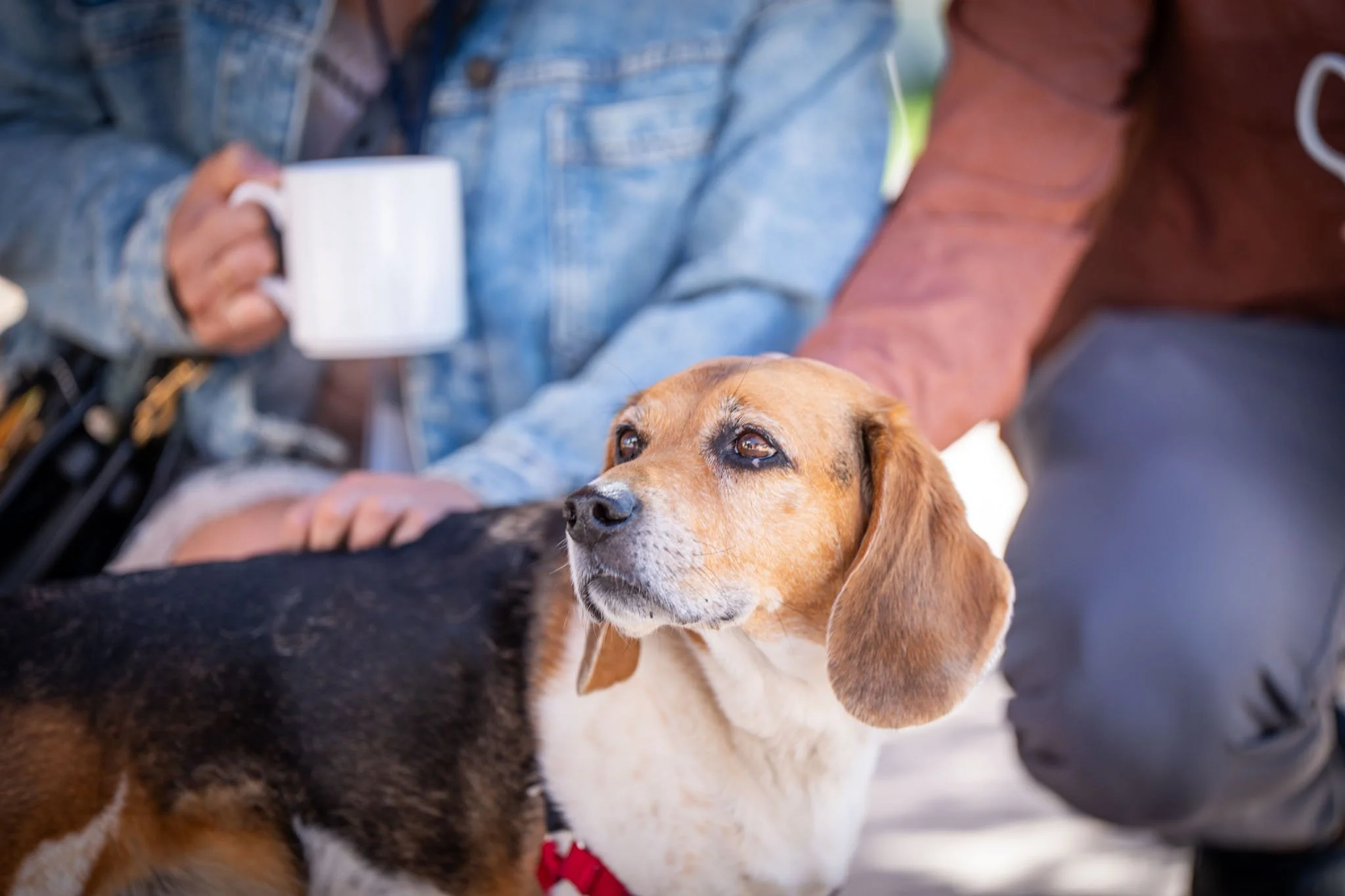 BrunchBark2026.PortraitsByTashi-024.jpg