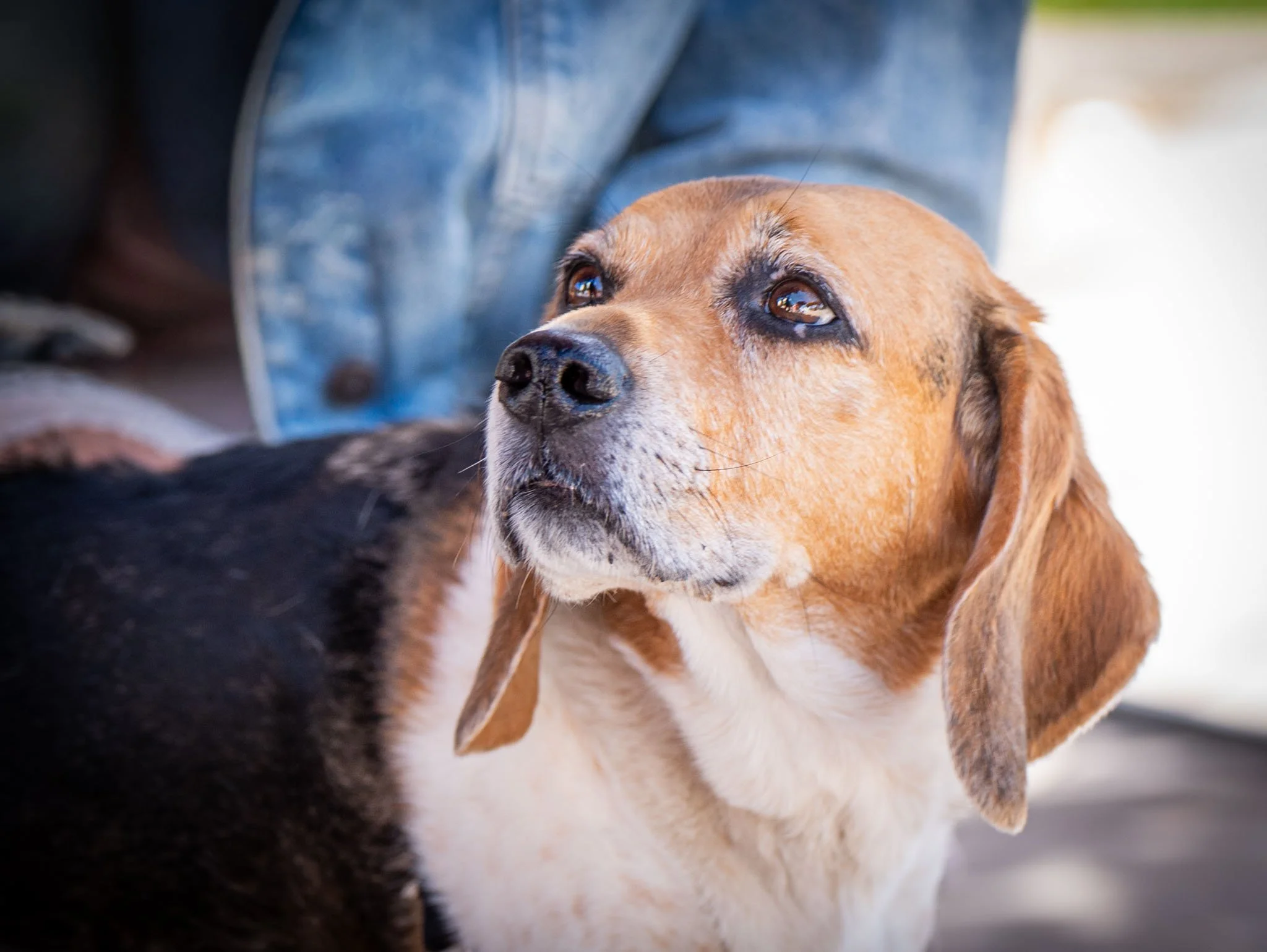 BrunchBark2026.PortraitsByTashi-025.jpg