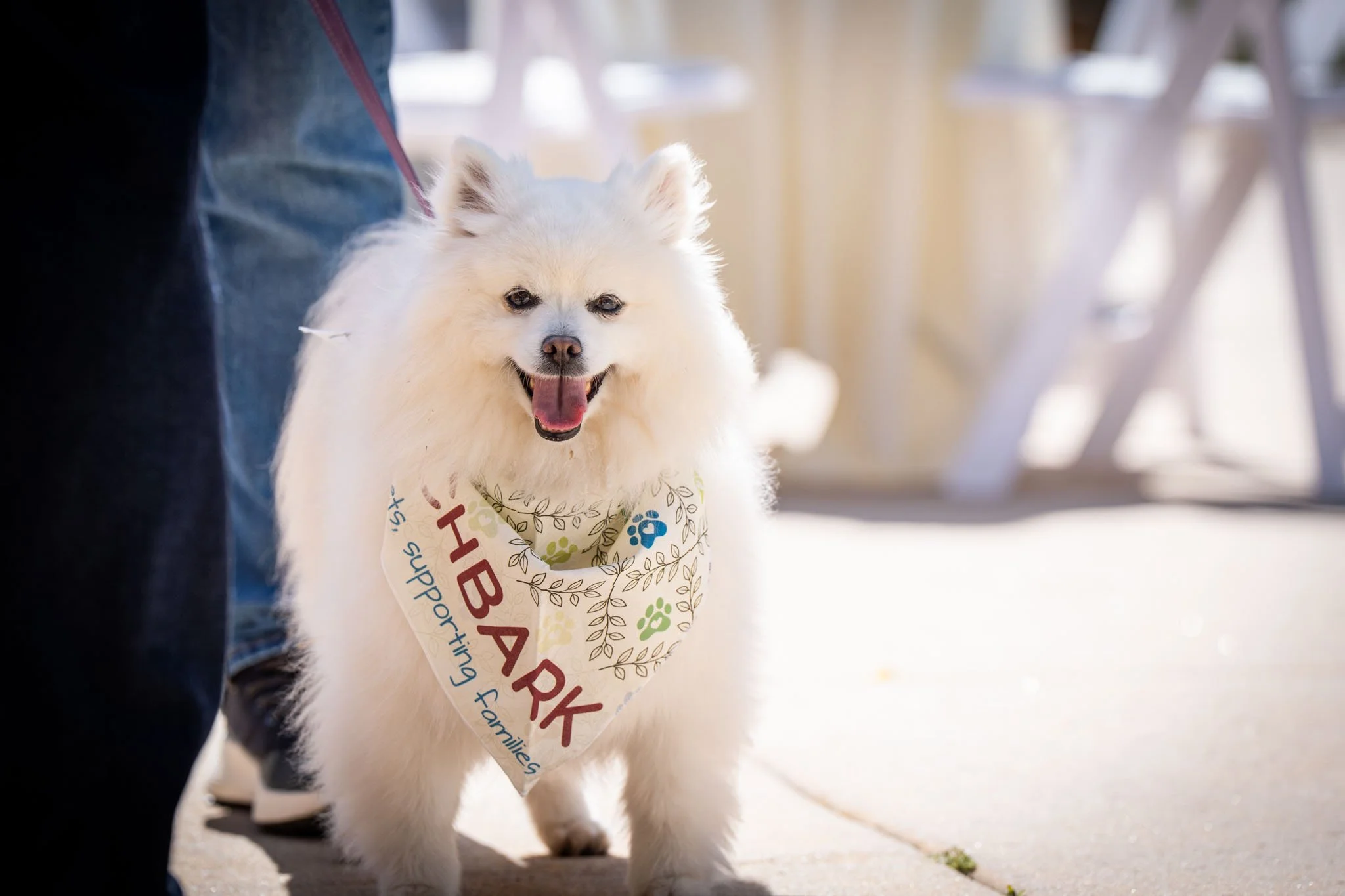 BrunchBark2026.PortraitsByTashi-033.jpg