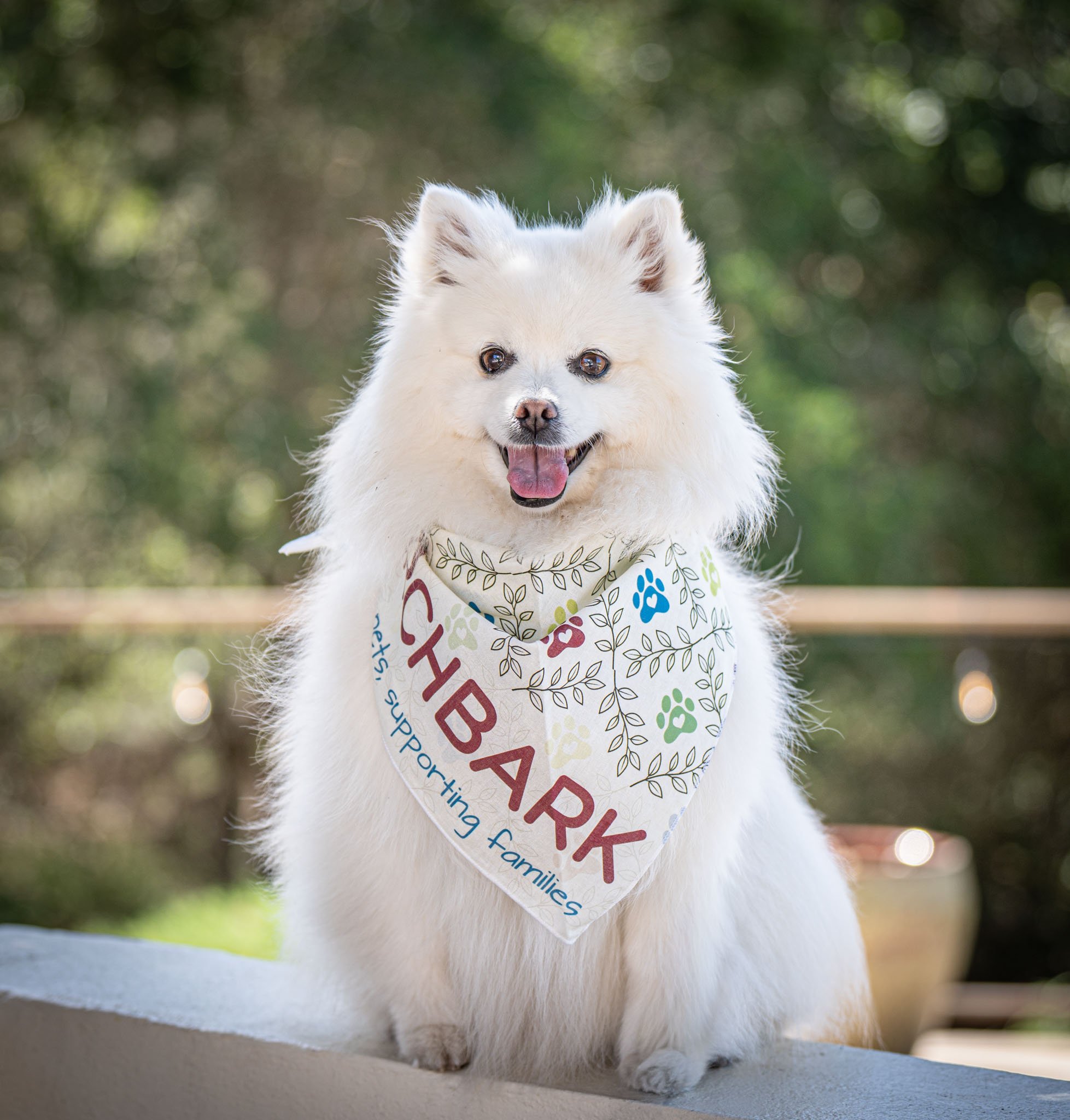 BrunchBark2026.PortraitsByTashi-040.jpg