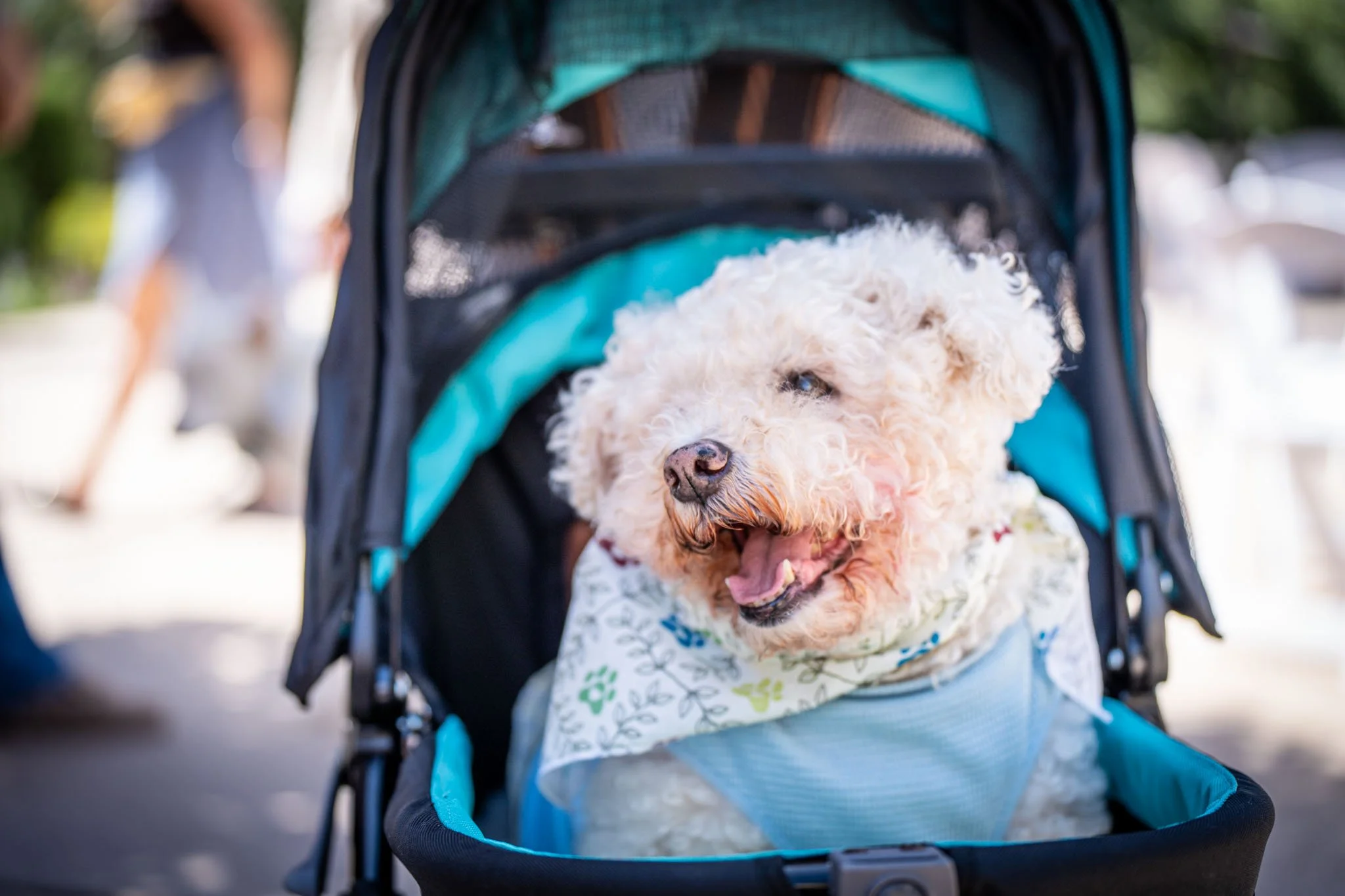 BrunchBark2026.PortraitsByTashi-056.jpg