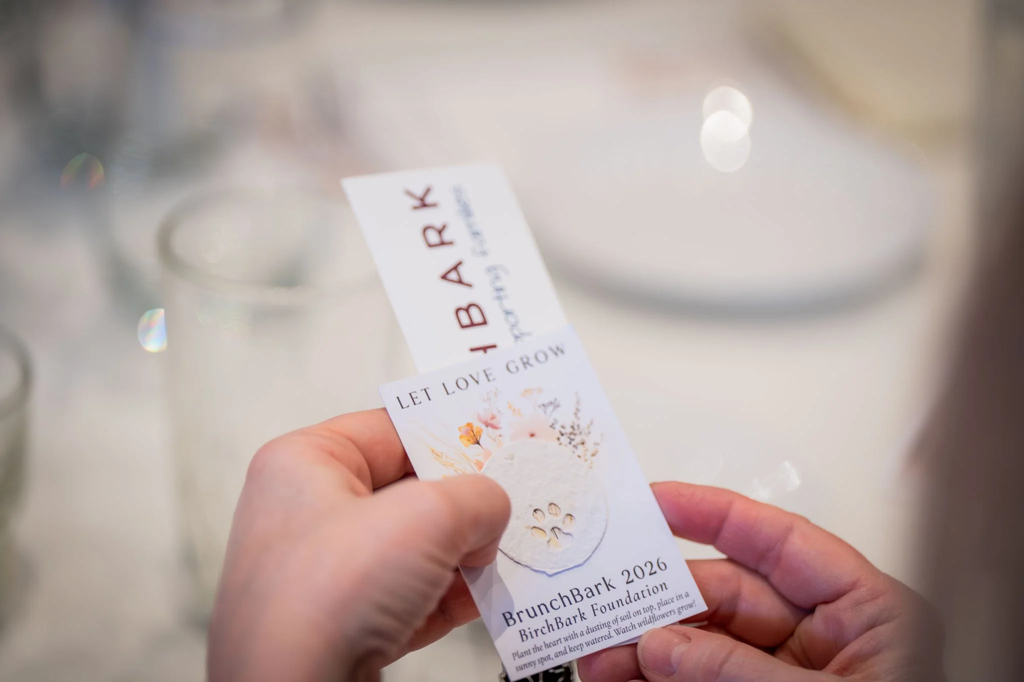 BrunchBark2026.PortraitsByTashi-106.jpg