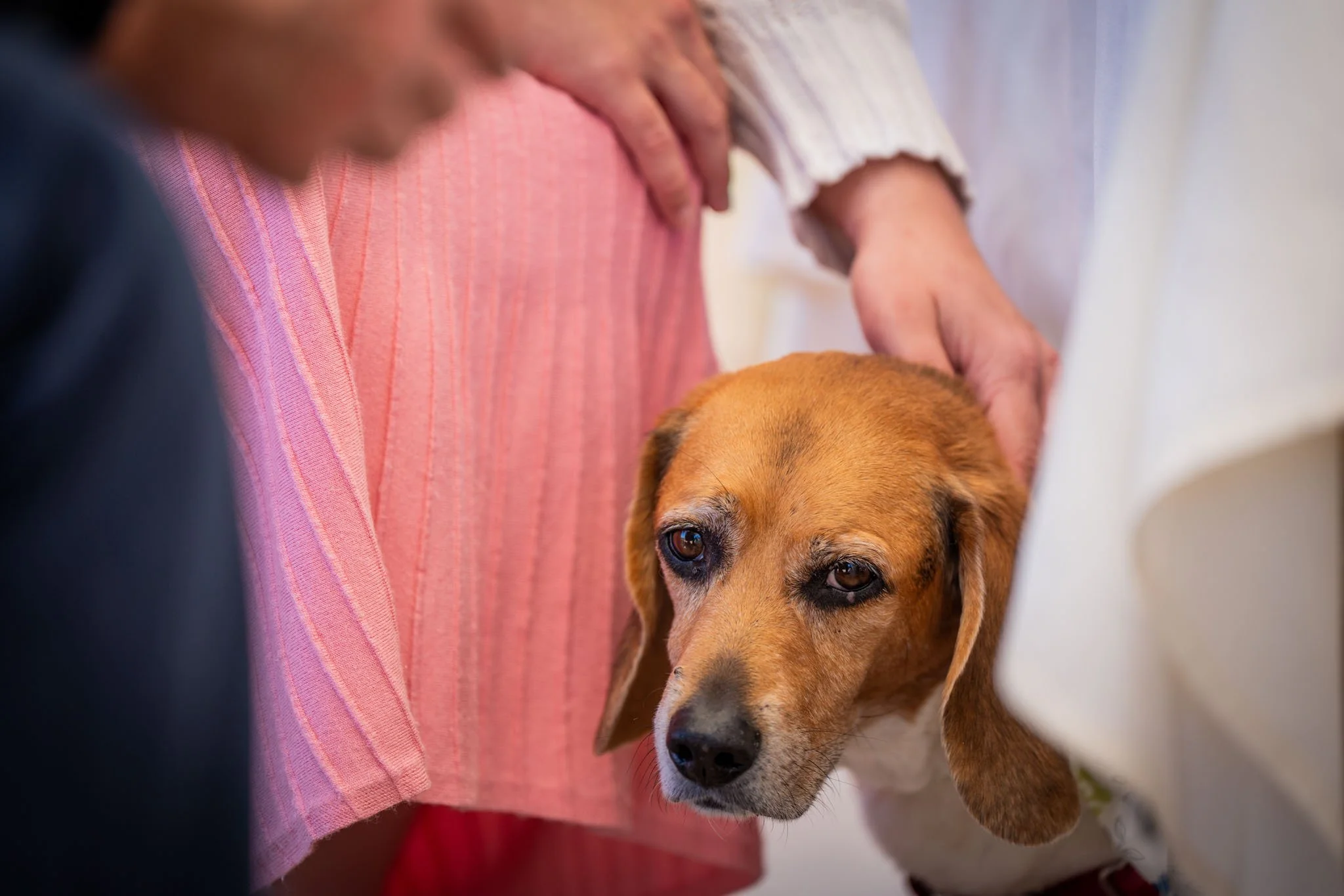 BrunchBark2026.PortraitsByTashi-112.jpg