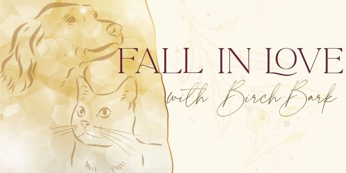 Fall in Love with BirchBark