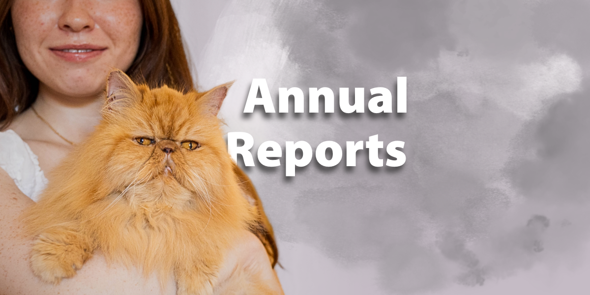 Annual Reports.png