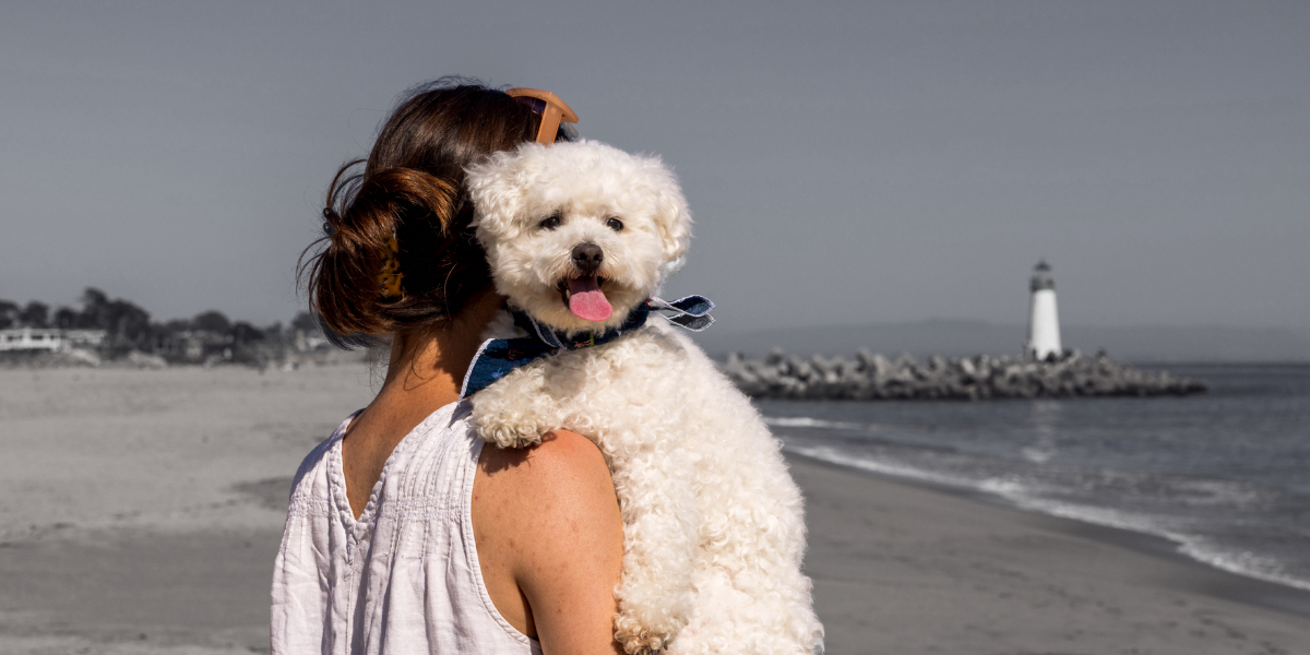 Teddy header with greyed background.png