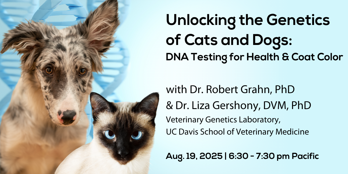 Unlocking the Genetics of Cats and Dogs: DNA Testing for Health and ...