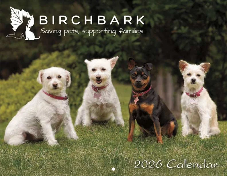Wall calendar cover BB 2026.jpg