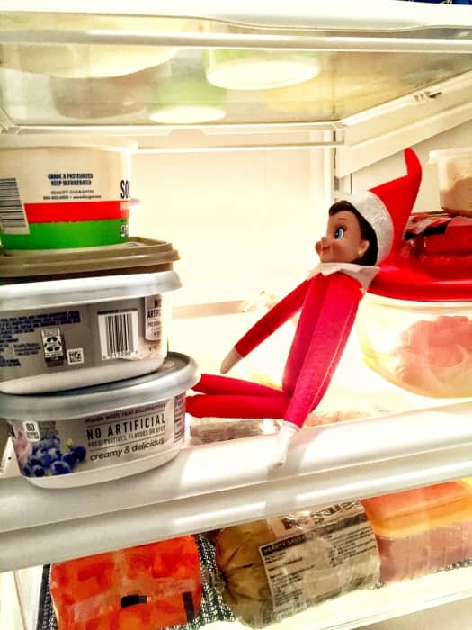 elf.jpg
