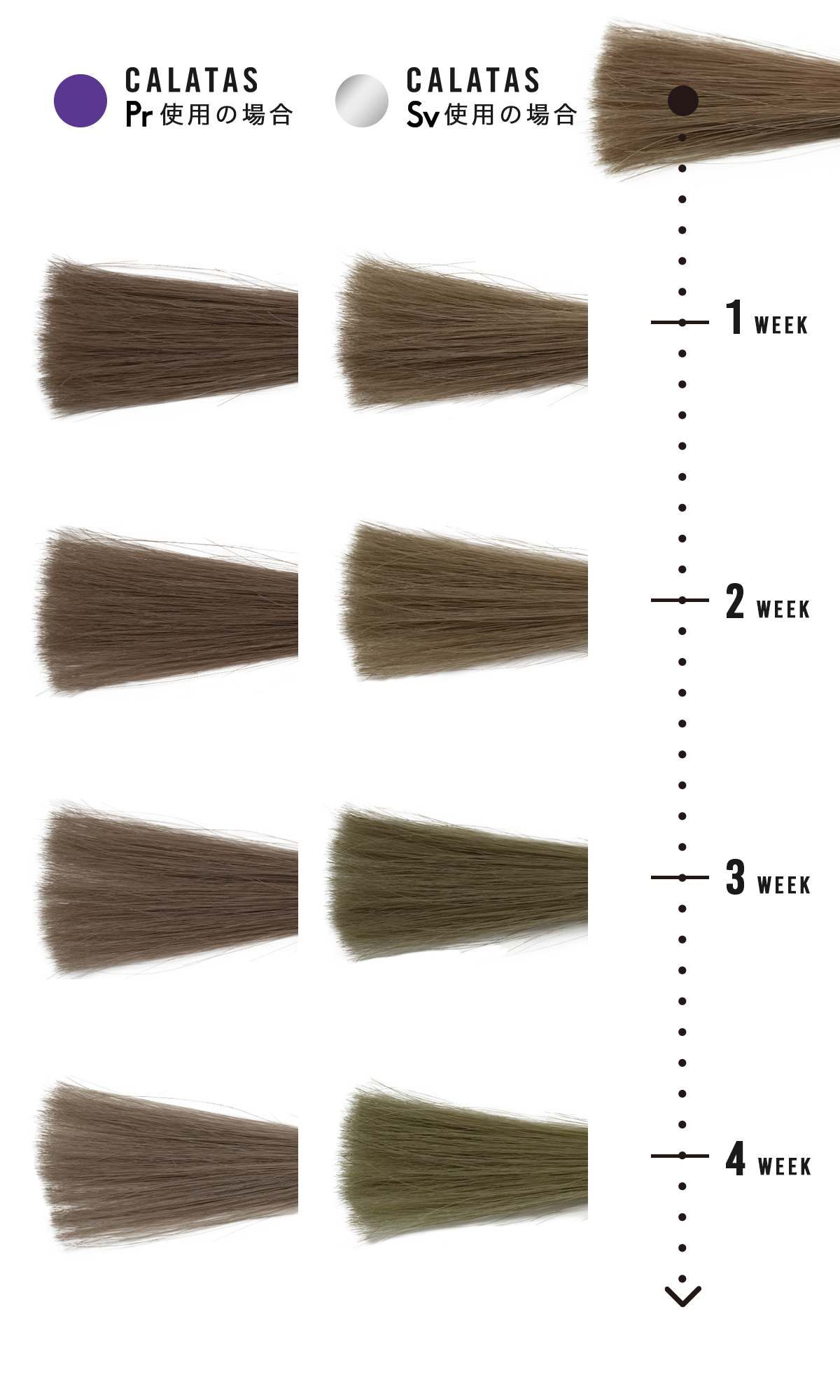 About Color Calatas Shampoo