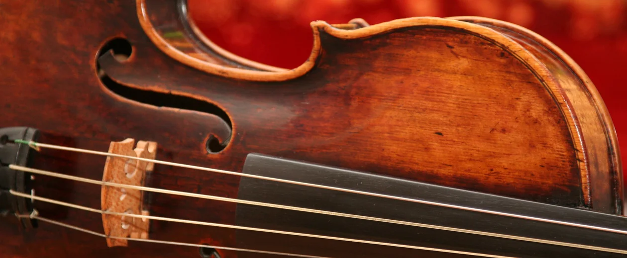 Violin 1260x520 72 dpi.jpg