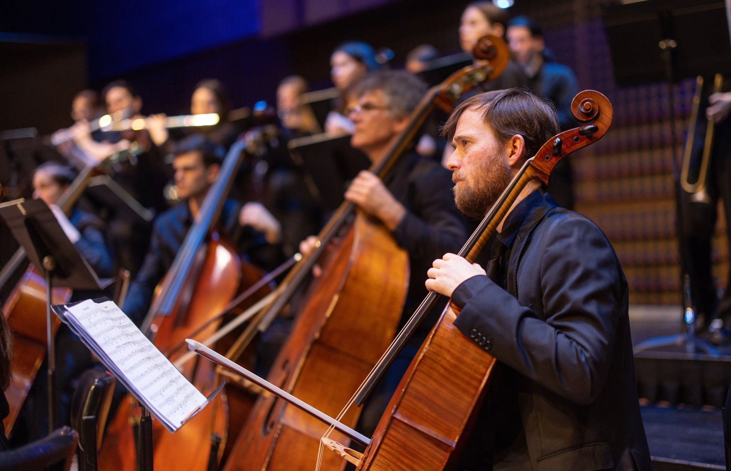 Kim Worley cello.jpeg