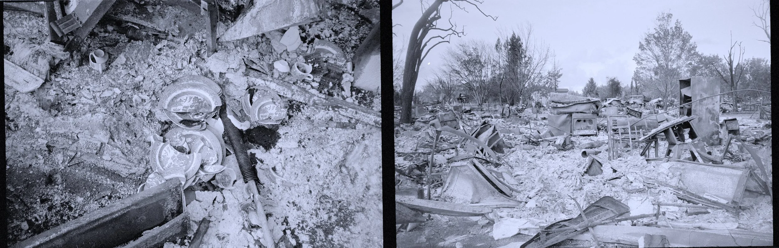 coffey park_dcbg.jpeg