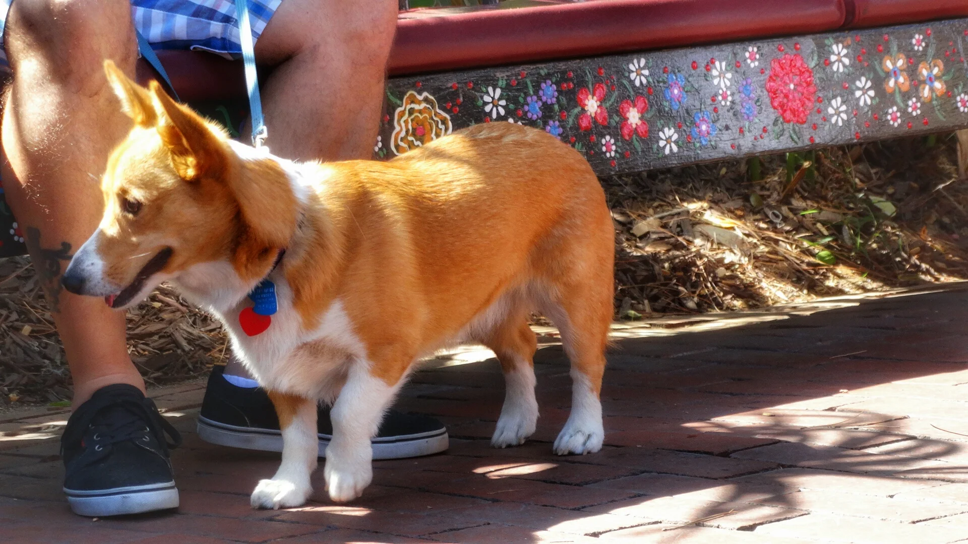 DSC01253-01.jpeg