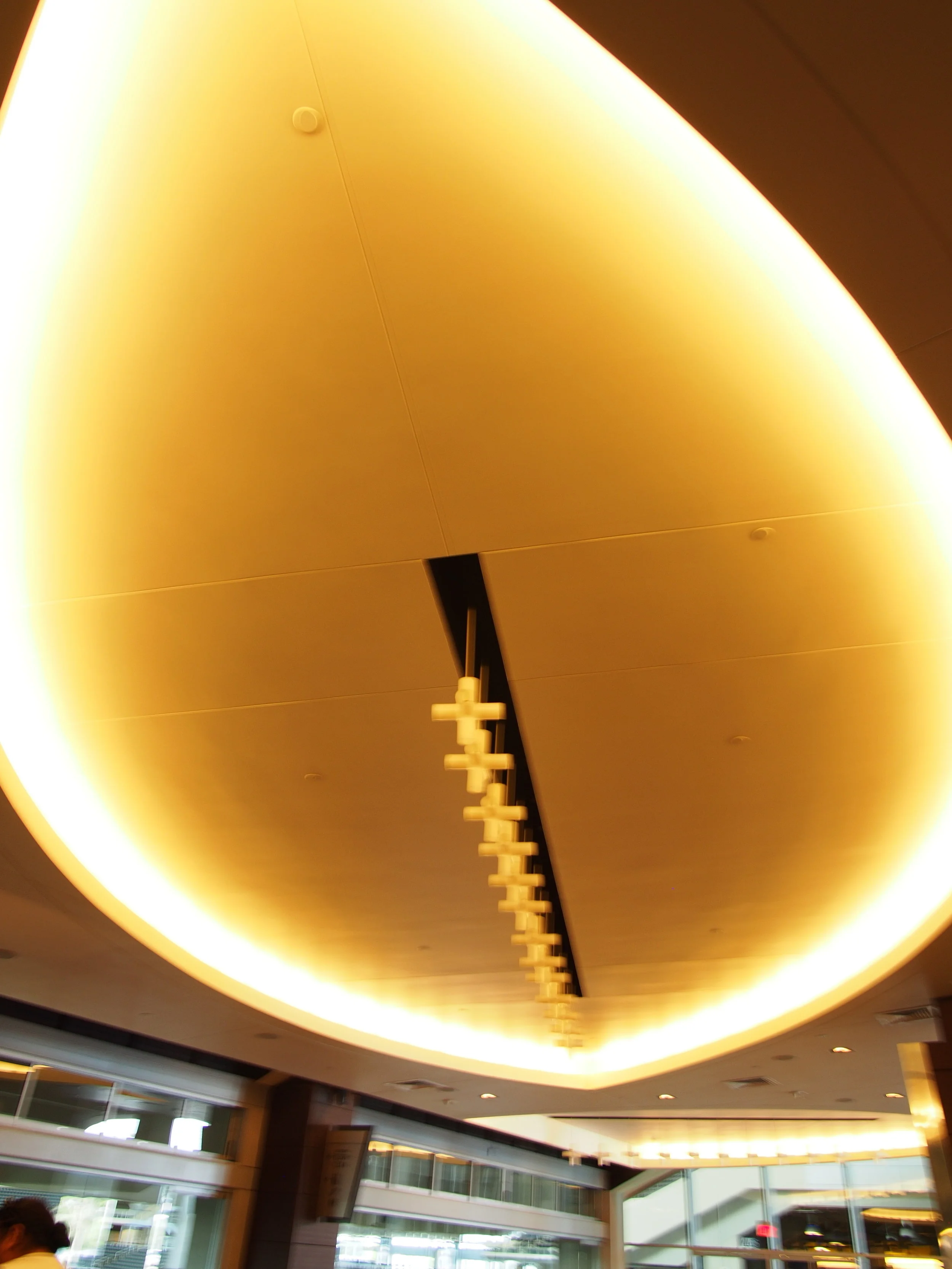P4240107.JPG