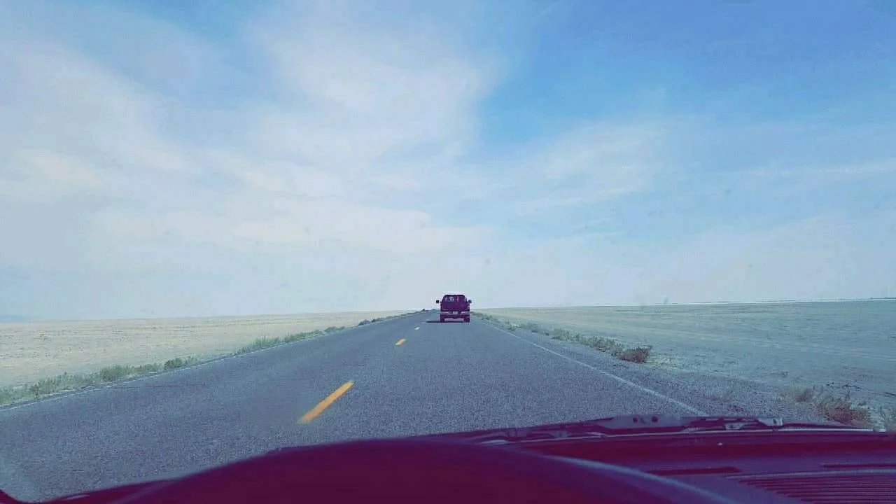 22532052_10214066038155810_478809789_o.jpg