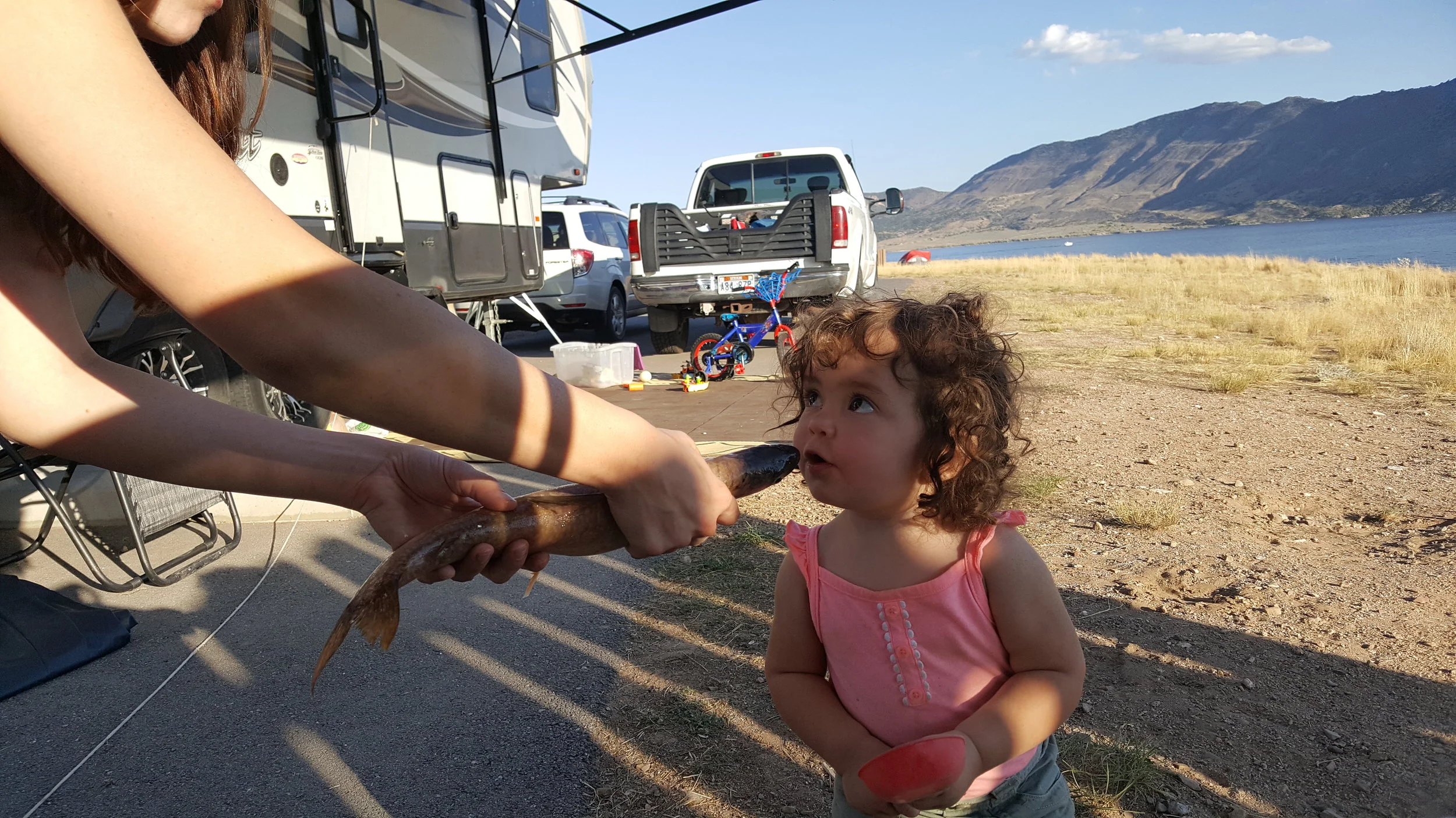 20180902_182408.jpg